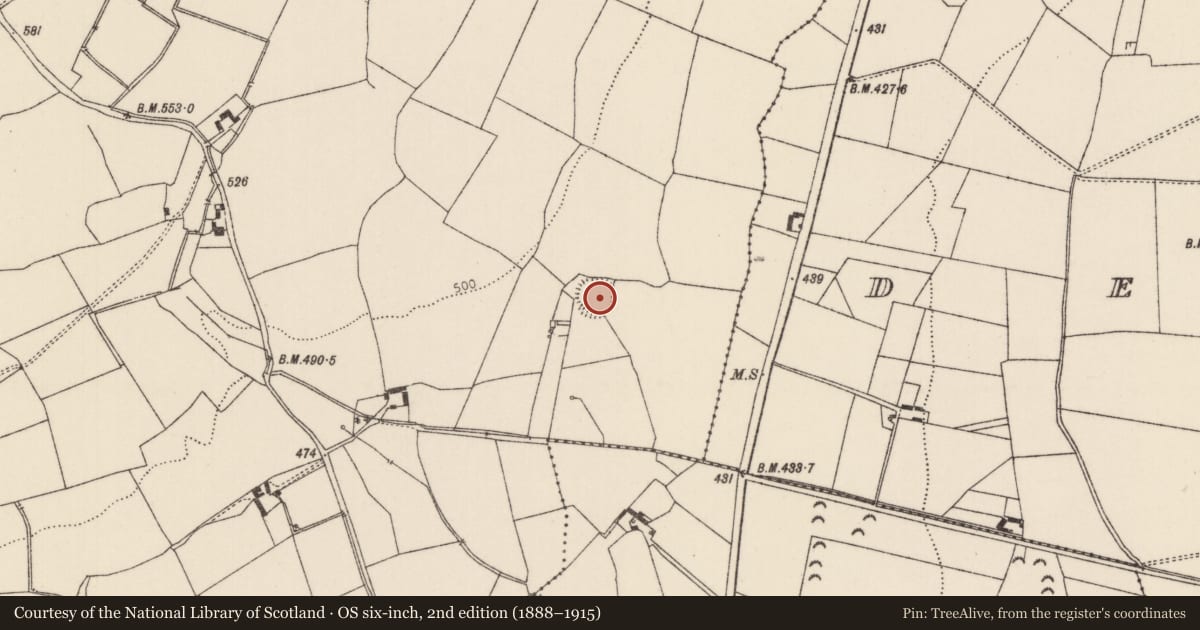 Ordnance Survey six-inch map, 2nd edition (1888–1915) covering the location of Kiln, Camlin, County Tipperary North, with a pin at the register's coordinates