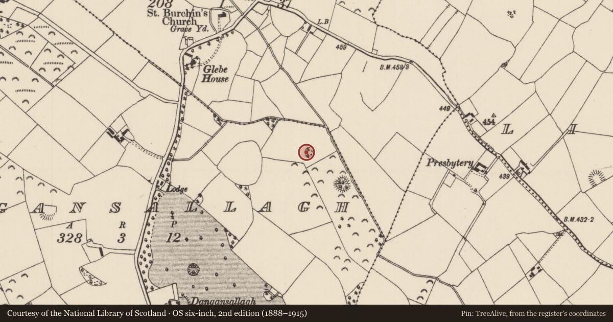 Ordnance Survey six-inch map, 2nd edition (1888–1915) covering the location of Ringfort - rath, Dangansallagh, County Tipperary North, with a pin at the register's coordinates