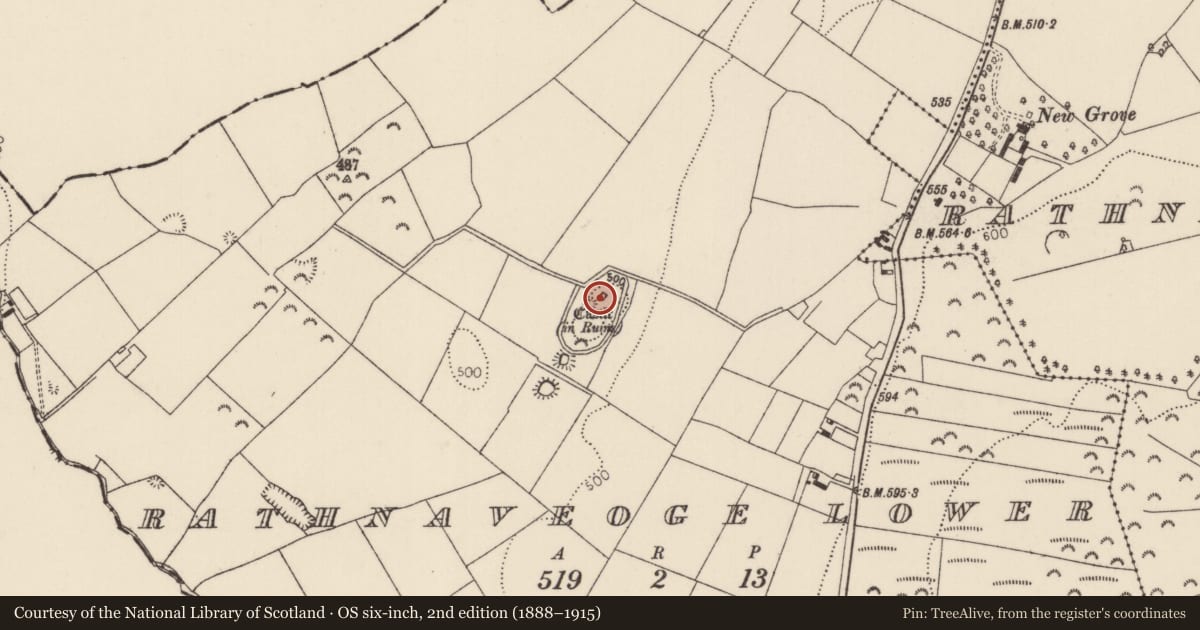 Ordnance Survey six-inch map, 2nd edition (1888–1915) covering the location of Castle - tower house, Rathnaveoge Lower, County Tipperary North, with a pin at the register's coordinates