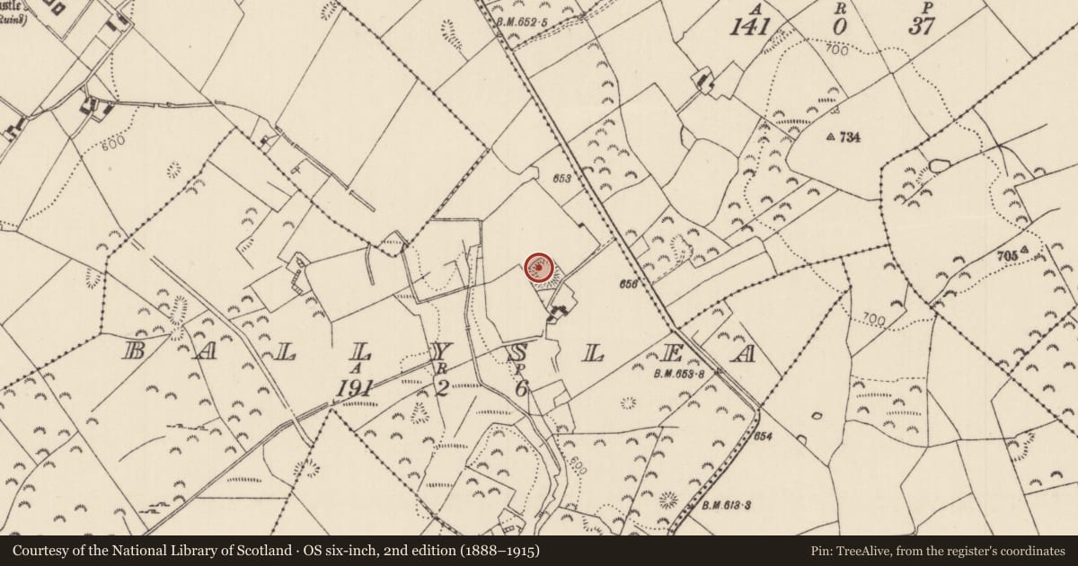 Ordnance Survey six-inch map, 2nd edition (1888–1915) covering the location of Ringfort - rath, Ballyslea, County Tipperary North, with a pin at the register's coordinates
