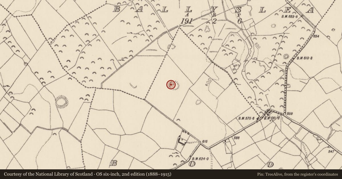 Ordnance Survey six-inch map, 2nd edition (1888–1915) covering the location of Ringfort - rath, Boola (Bourney Par.), County Tipperary North, with a pin at the register's coordinates