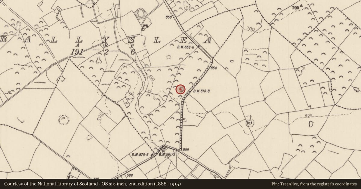 Ordnance Survey six-inch map, 2nd edition (1888–1915) covering the location of Enclosure, Ballyslea, County Tipperary North, with a pin at the register's coordinates
