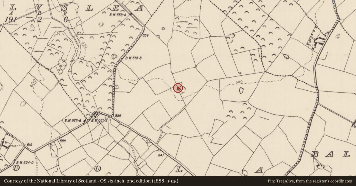 Ordnance Survey six-inch map, 2nd edition (1888–1915) covering the location of Ringfort - rath, Boola (Corbally Par.), County Tipperary North, with a pin at the register's coordinates