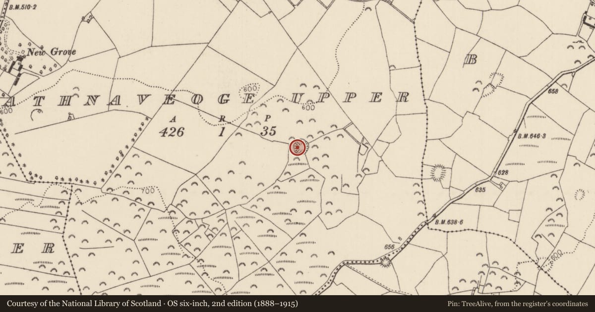 Ordnance Survey six-inch map, 2nd edition (1888–1915) covering the location of Ringfort - rath, Rathnaveoge Upper, County Tipperary North, with a pin at the register's coordinates