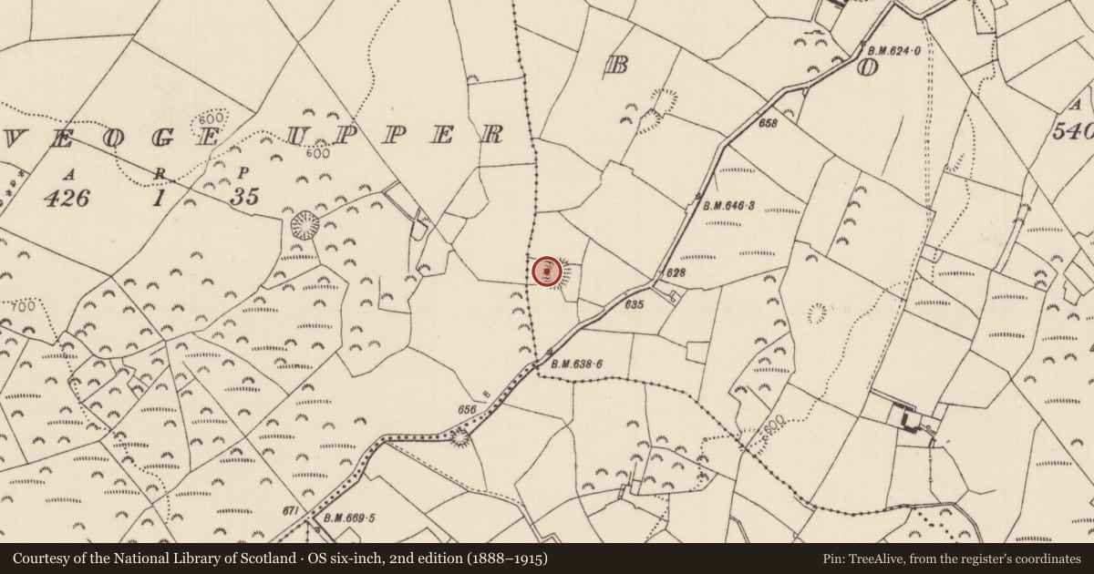 Ordnance Survey six-inch map, 2nd edition (1888–1915) covering the location of Ringfort - rath, Boola (Bourney Par.), County Tipperary North, with a pin at the register's coordinates