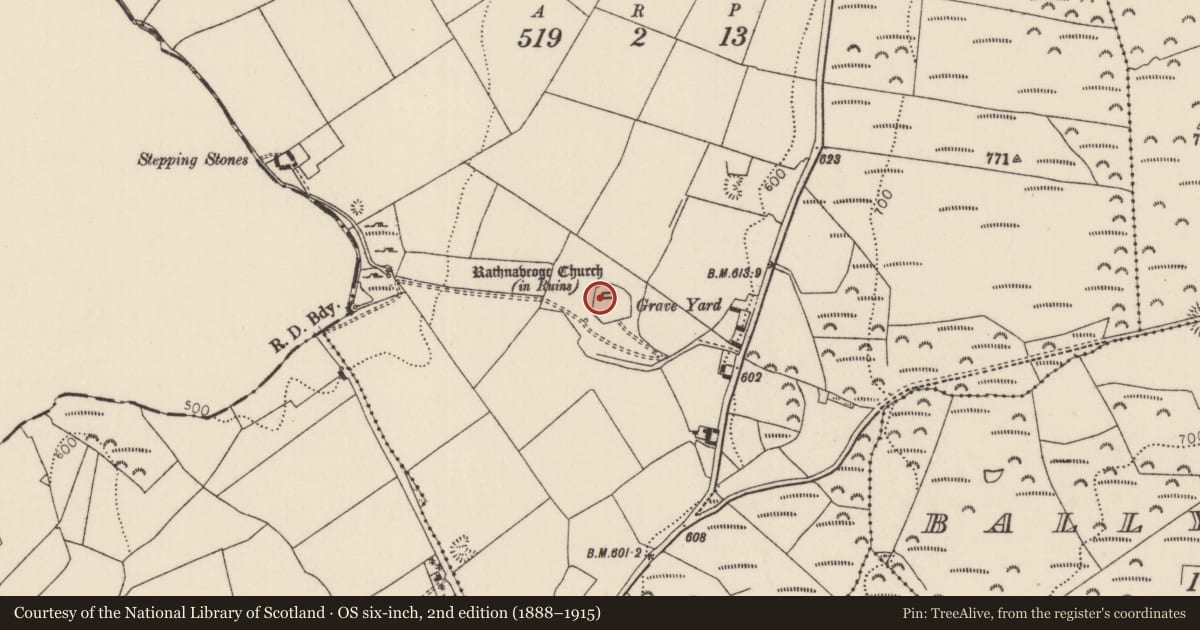 Ordnance Survey six-inch map, 2nd edition (1888–1915) covering the location of Ecclesiastical enclosure, Rathnaveoge Lower, County Tipperary North, with a pin at the register's coordinates