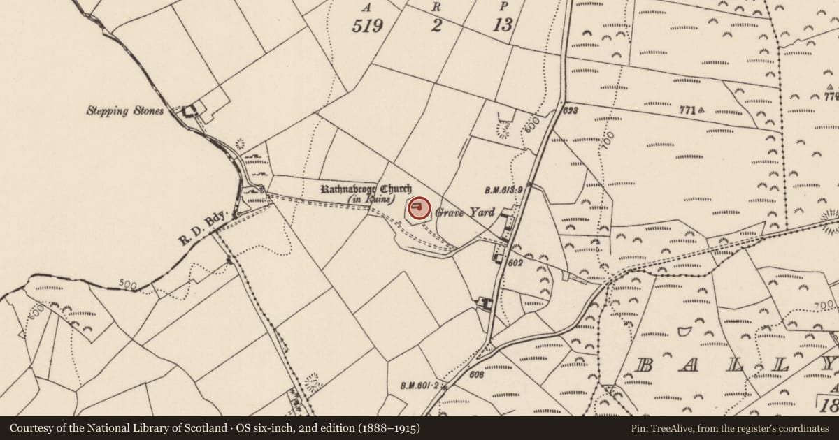 Ordnance Survey six-inch map, 2nd edition (1888–1915) covering the location of Graveyard, Rathnaveoge Lower, County Tipperary North, with a pin at the register's coordinates