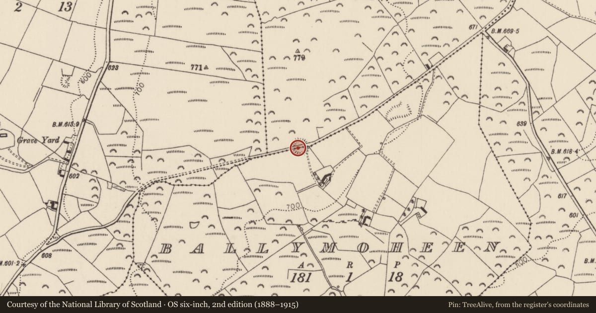 Ordnance Survey six-inch map, 2nd edition (1888–1915) covering the location of Ringfort - rath, Ballymoheen, Rathnaveoge Upper, County Tipperary North, with a pin at the register's coordinates