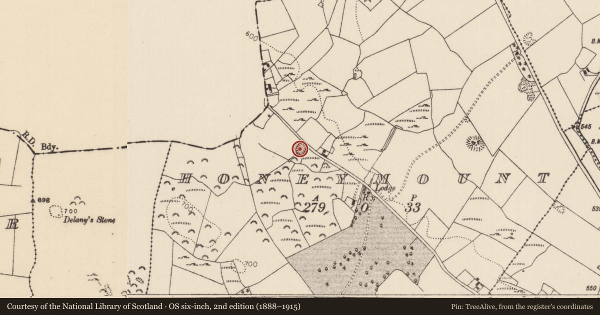 Ordnance Survey six-inch map, 2nd edition (1888–1915) covering the location of Ringfort - rath, Honeymount, County Tipperary North, with a pin at the register's coordinates