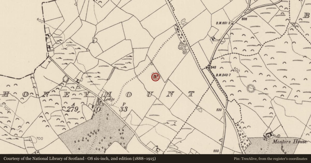 Ordnance Survey six-inch map, 2nd edition (1888–1915) covering the location of Ringfort - rath, Honeymount, County Tipperary North, with a pin at the register's coordinates