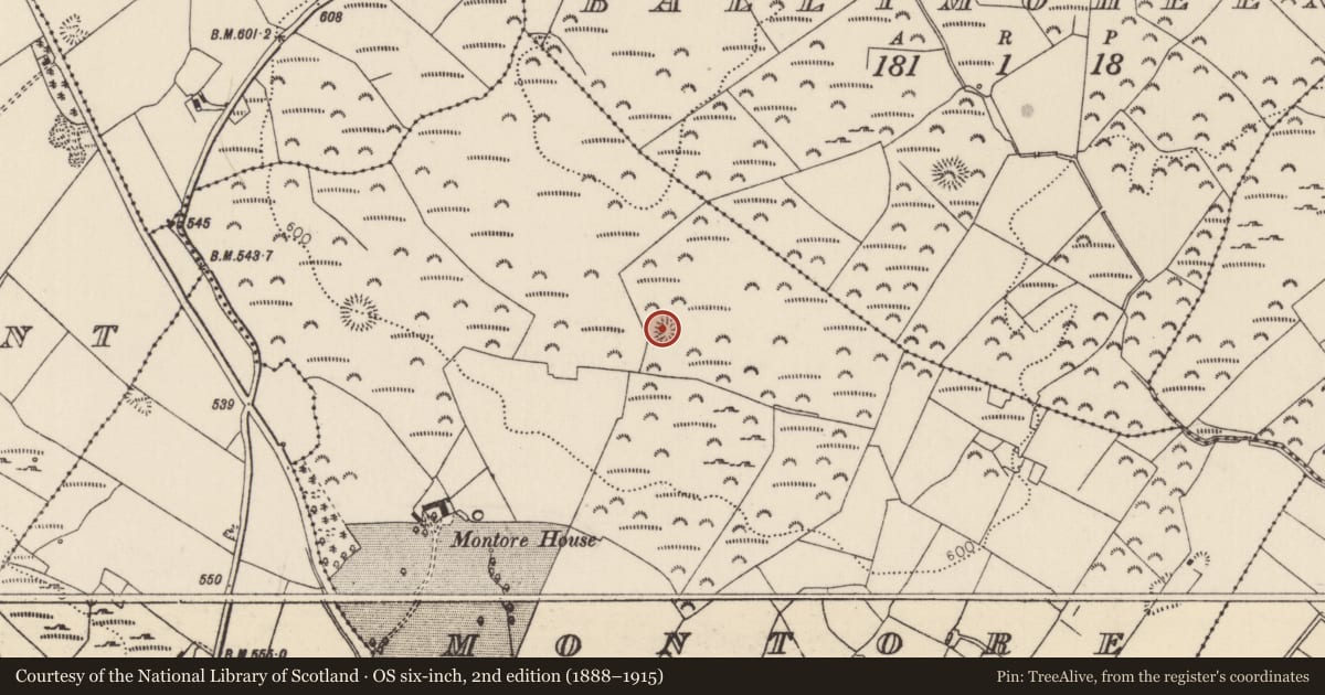 Ordnance Survey six-inch map, 2nd edition (1888–1915) covering the location of Enclosure, Montore, County Tipperary North, with a pin at the register's coordinates