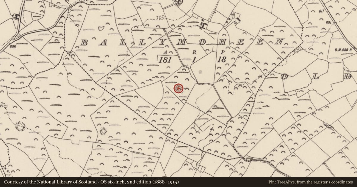 Ordnance Survey six-inch map, 2nd edition (1888–1915) covering the location of Enclosure, Ballymoheen, County Tipperary North, with a pin at the register's coordinates