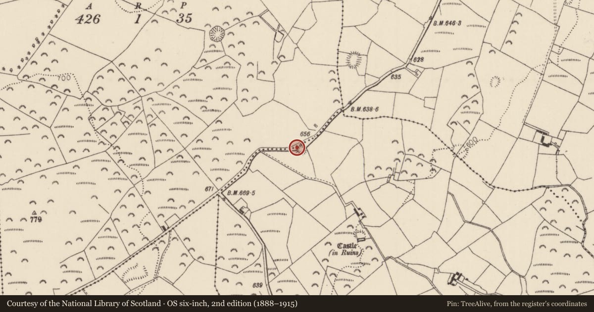 Ordnance Survey six-inch map, 2nd edition (1888–1915) covering the location of Ringfort - rath, Oldcastle (Bourney Par.), Rathnaveoge Upper, County Tipperary North, with a pin at the register's coordinates