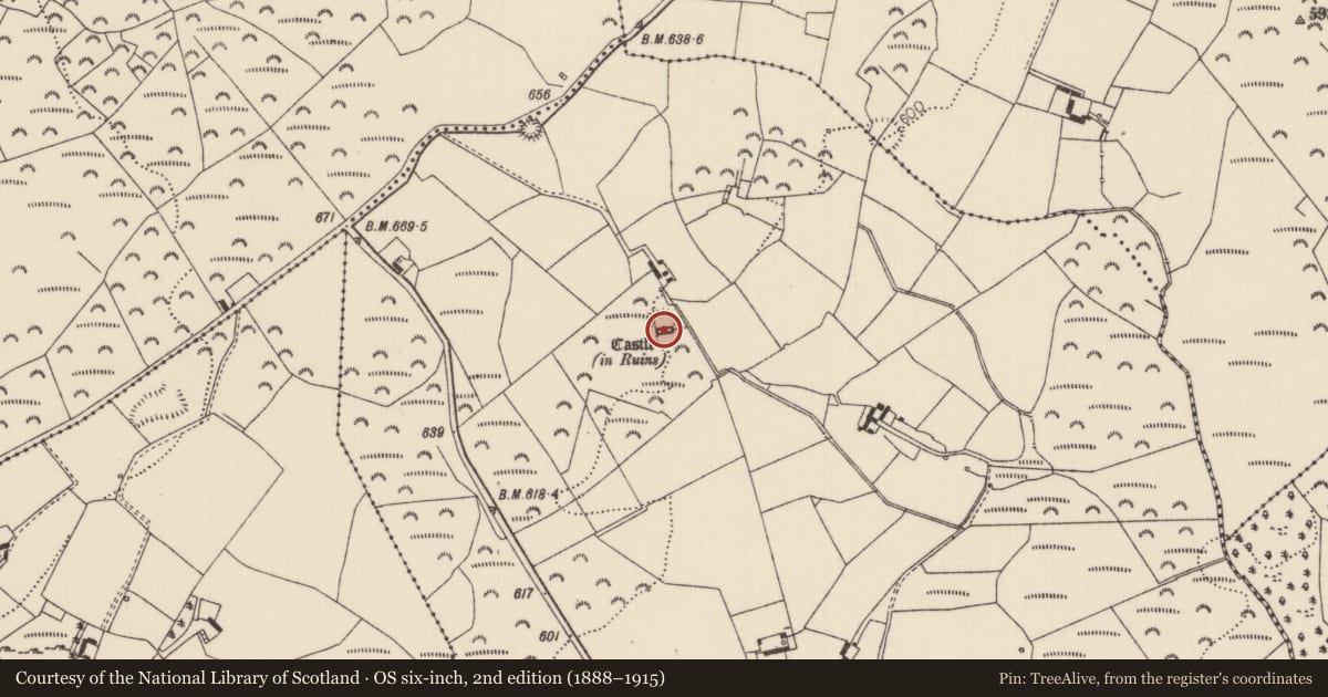 Ordnance Survey six-inch map, 2nd edition (1888–1915) covering the location of Castle - Anglo-Norman masonry castle, Oldcastle (Bourney Par.), County Tipperary North, with a pin at the register's coordinates