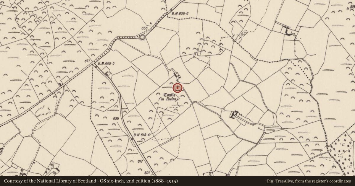 Ordnance Survey six-inch map, 2nd edition (1888–1915) covering the location of Castle - ringwork, Oldcastle (Bourney Par.), County Tipperary North, with a pin at the register's coordinates