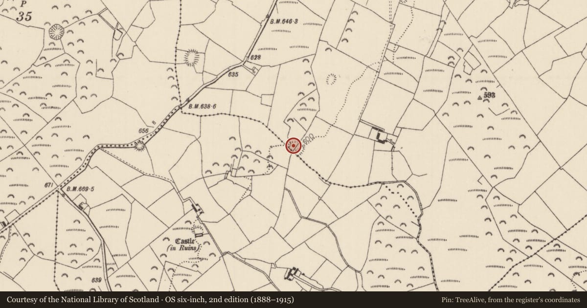 Ordnance Survey six-inch map, 2nd edition (1888–1915) covering the location of Enclosure, Boola (Bourney Par.), Oldcastle (Bourney Par.), County Tipperary North, with a pin at the register's coordinates