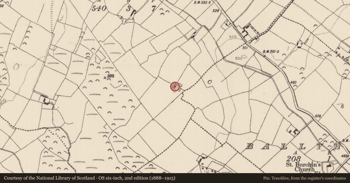 Ordnance Survey six-inch map, 2nd edition (1888–1915) covering the location of Ringfort - rath, Boola (Bourney Par.), County Tipperary North, with a pin at the register's coordinates