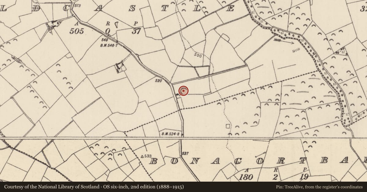 Ordnance Survey six-inch map, 2nd edition (1888–1915) covering the location of Ringfort - rath, Oldcastle (Bourney Par.), County Tipperary North, with a pin at the register's coordinates