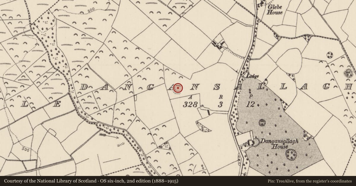 Ordnance Survey six-inch map, 2nd edition (1888–1915) covering the location of Ringfort - rath, Dangansallagh, County Tipperary North, with a pin at the register's coordinates