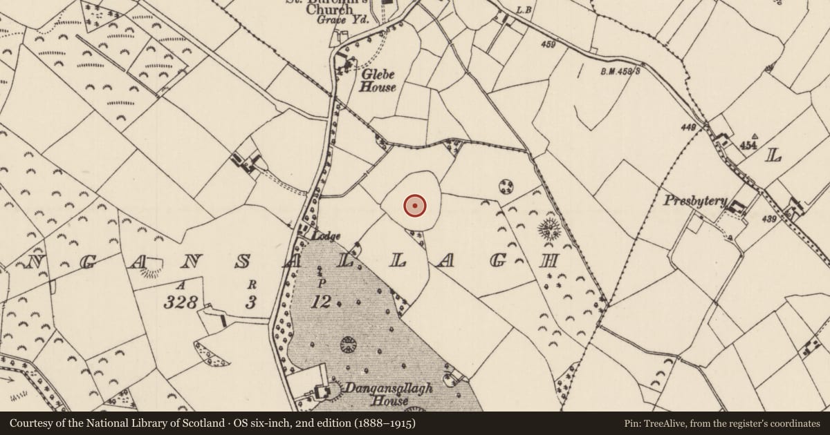 Ordnance Survey six-inch map, 2nd edition (1888–1915) covering the location of Enclosure, Dangansallagh, County Tipperary North, with a pin at the register's coordinates