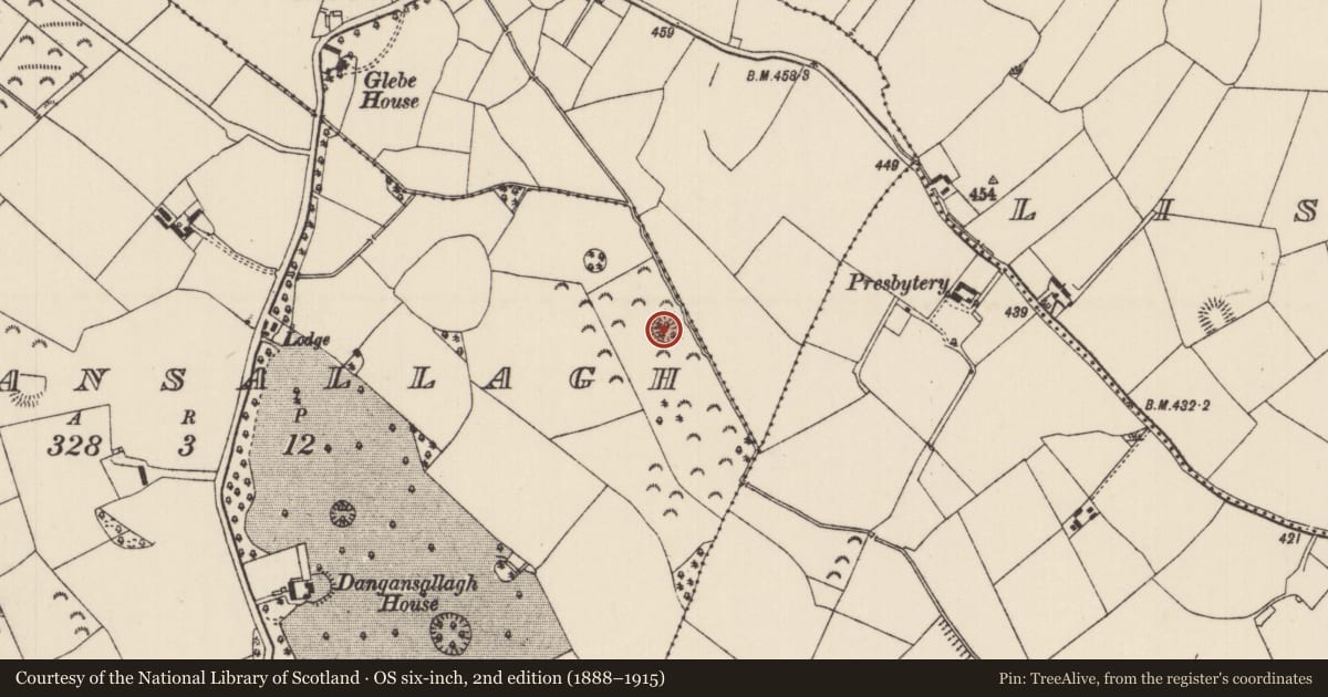 Ordnance Survey six-inch map, 2nd edition (1888–1915) covering the location of Ringfort - rath, Dangansallagh, County Tipperary North, with a pin at the register's coordinates