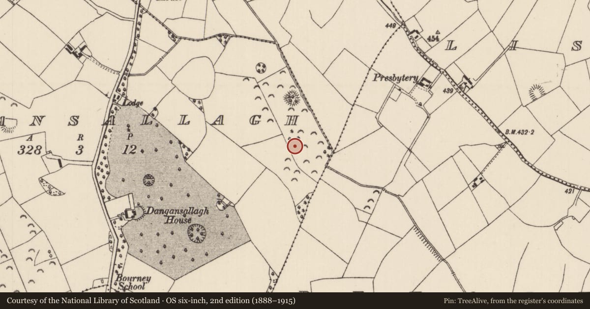 Ordnance Survey six-inch map, 2nd edition (1888–1915) covering the location of Enclosure, Dangansallagh, County Tipperary North, with a pin at the register's coordinates