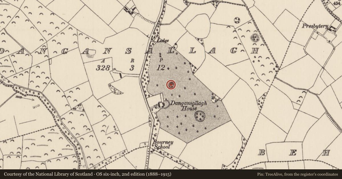 Ordnance Survey six-inch map, 2nd edition (1888–1915) covering the location of Ringfort - rath, Dangansallagh, County Tipperary North, with a pin at the register's coordinates