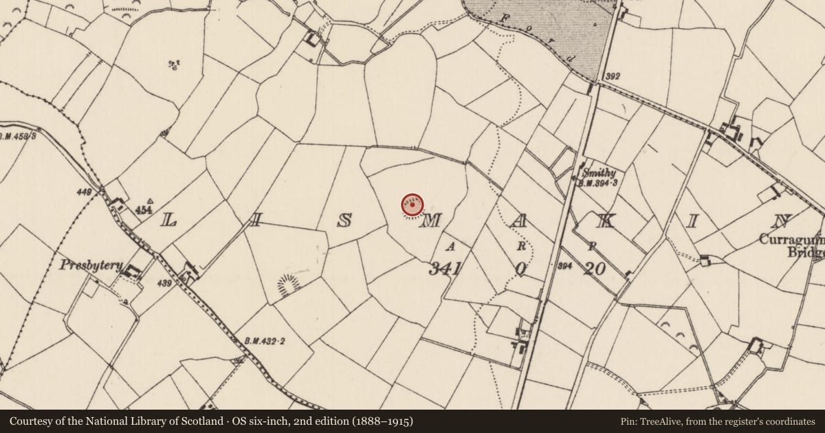Ordnance Survey six-inch map, 2nd edition (1888–1915) covering the location of Ringfort - rath, Lismakin, County Tipperary North, with a pin at the register's coordinates