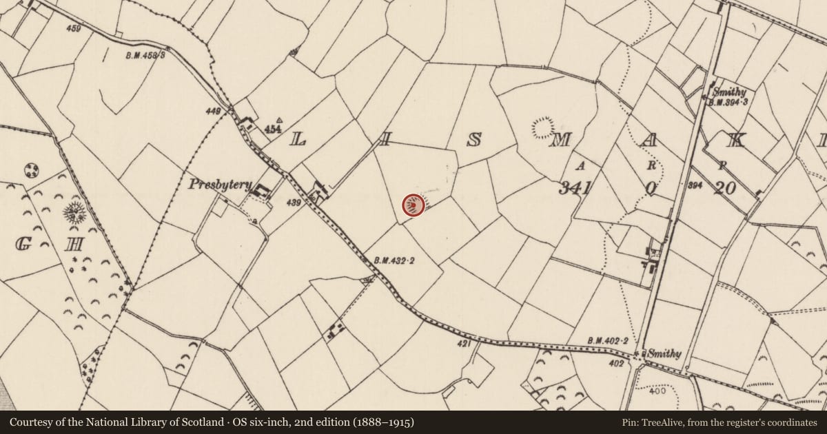 Ordnance Survey six-inch map, 2nd edition (1888–1915) covering the location of Enclosure, Lismakin, County Tipperary North, with a pin at the register's coordinates