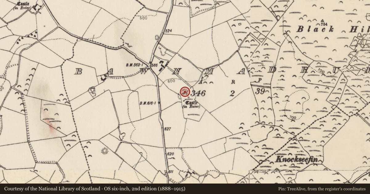Ordnance Survey six-inch map, 2nd edition (1888–1915) covering the location of Bawn, Bawnmadrum, County Tipperary North, with a pin at the register's coordinates