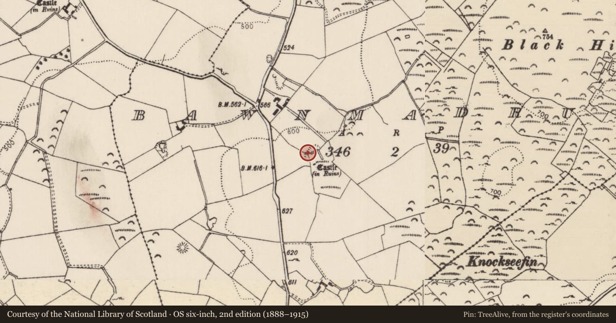 Ordnance Survey six-inch map, 2nd edition (1888–1915) covering the location of Enclosure, Bawnmadrum, County Tipperary North, with a pin at the register's coordinates