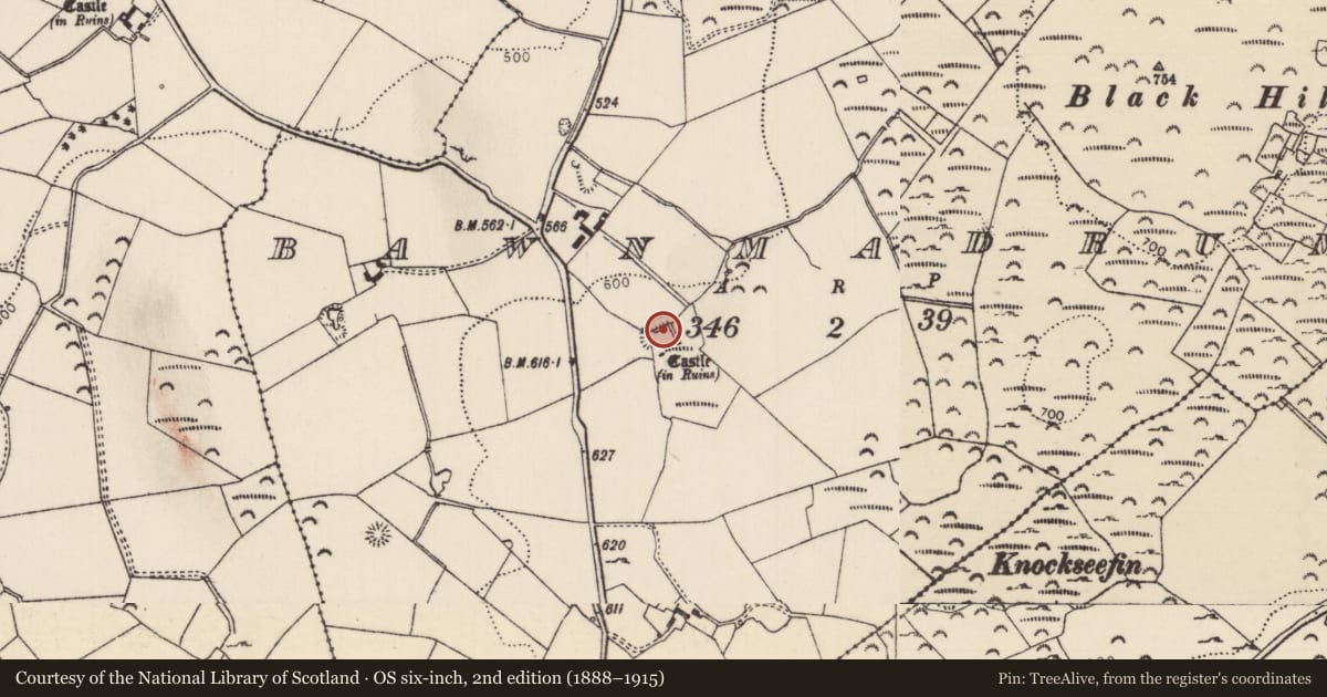 Ordnance Survey six-inch map, 2nd edition (1888–1915) covering the location of Castle - tower house, Bawnmadrum, County Tipperary North, with a pin at the register's coordinates