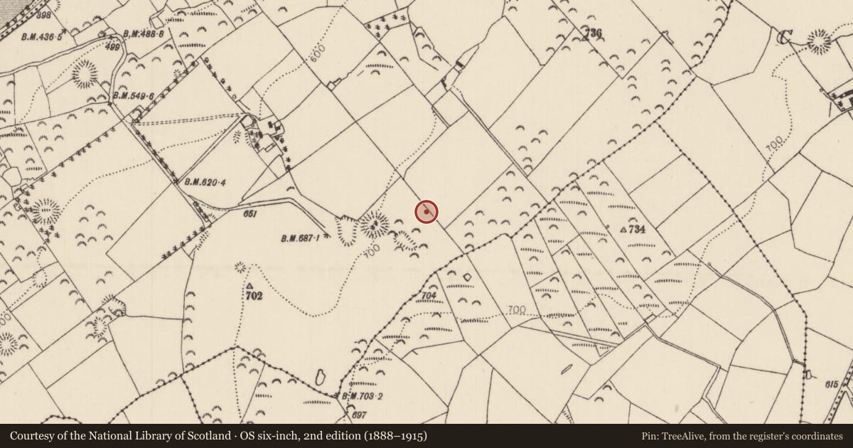 Ordnance Survey six-inch map, 2nd edition (1888–1915) covering the location of Standing stone, Carrick (Roscrea Par.), County Tipperary North, with a pin at the register's coordinates