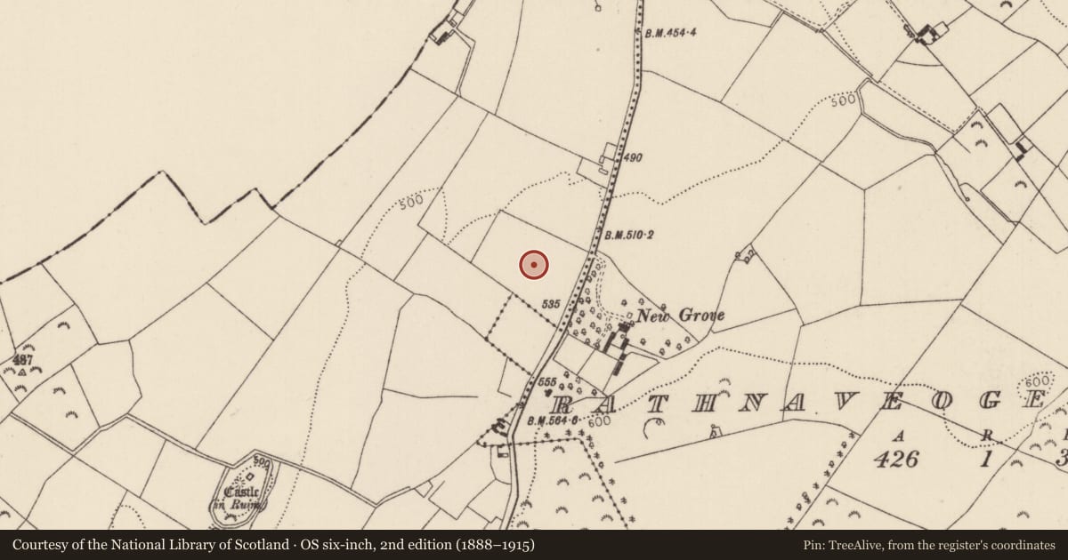 Ordnance Survey six-inch map, 2nd edition (1888–1915) covering the location of Habitation site, Rathnaveoge Lower, County Tipperary North, with a pin at the register's coordinates