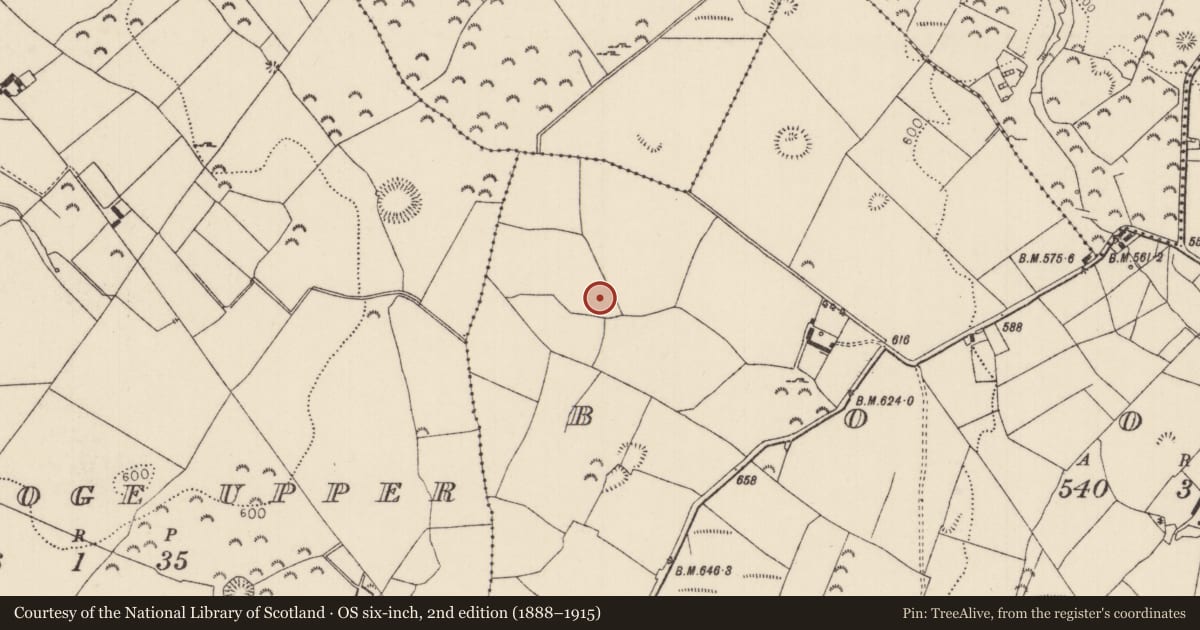 Ordnance Survey six-inch map, 2nd edition (1888–1915) covering the location of Kiln, Boola (Bourney Par.), County Tipperary North, with a pin at the register's coordinates