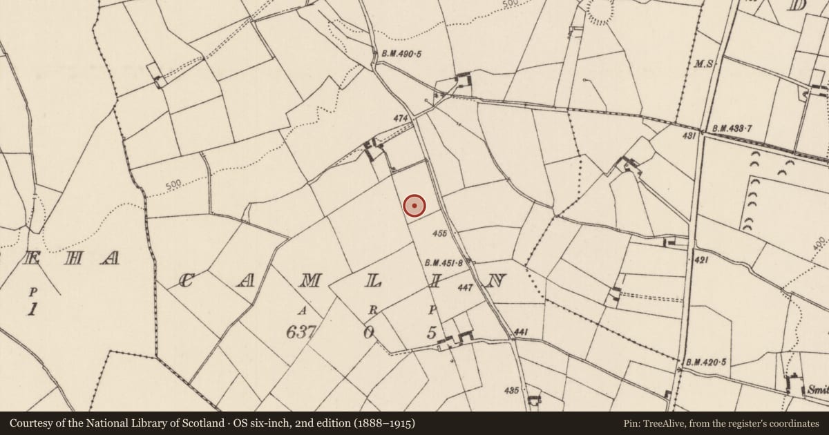 Ordnance Survey six-inch map, 2nd edition (1888–1915) covering the location of Ringfort - rath, Camlin, County Tipperary North, with a pin at the register's coordinates