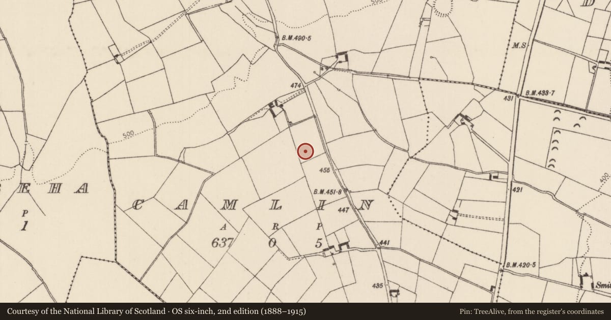 Ordnance Survey six-inch map, 2nd edition (1888–1915) covering the location of Fulacht fia, Camlin, County Tipperary North, with a pin at the register's coordinates