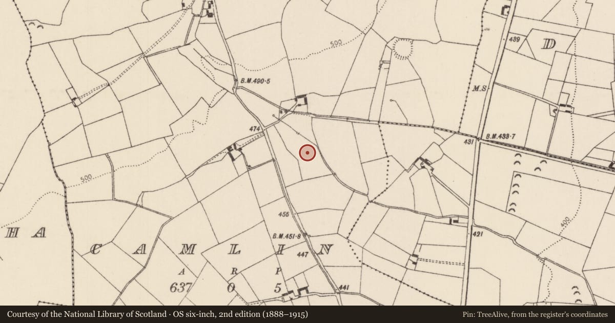 Ordnance Survey six-inch map, 2nd edition (1888–1915) covering the location of Burnt mound, Camlin, County Tipperary North, with a pin at the register's coordinates
