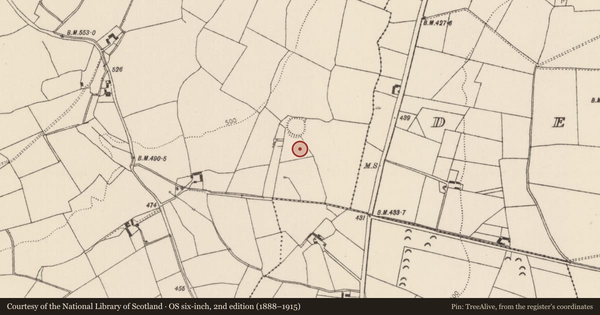 Ordnance Survey six-inch map, 2nd edition (1888–1915) covering the location of Burnt mound, Camlin, County Tipperary North, with a pin at the register's coordinates