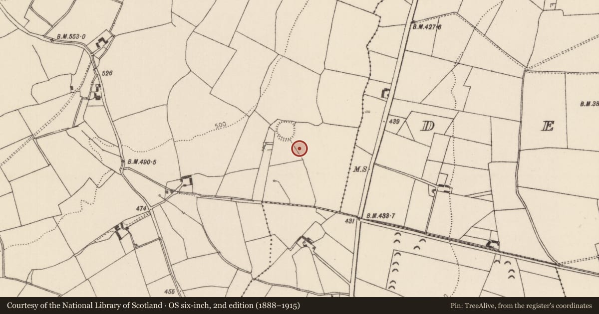 Ordnance Survey six-inch map, 2nd edition (1888–1915) covering the location of Burnt mound, Camlin, County Tipperary North, with a pin at the register's coordinates
