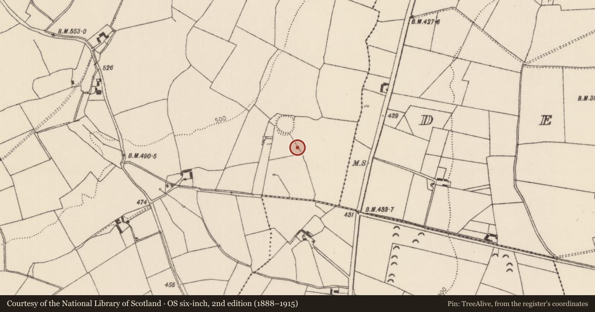 Ordnance Survey six-inch map, 2nd edition (1888–1915) covering the location of Burnt mound, Camlin, County Tipperary North, with a pin at the register's coordinates