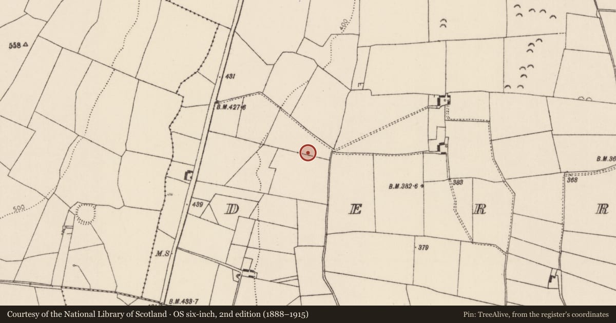 Ordnance Survey six-inch map, 2nd edition (1888–1915) covering the location of Burnt mound, Derrymore (Corbally Par.), County Tipperary North, with a pin at the register's coordinates