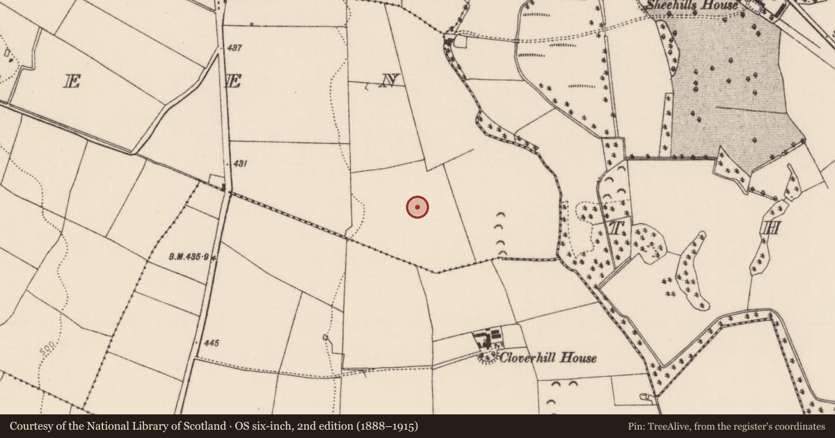 Ordnance Survey six-inch map, 2nd edition (1888–1915) covering the location of Enclosure, Cloneen, County Tipperary North, with a pin at the register's coordinates