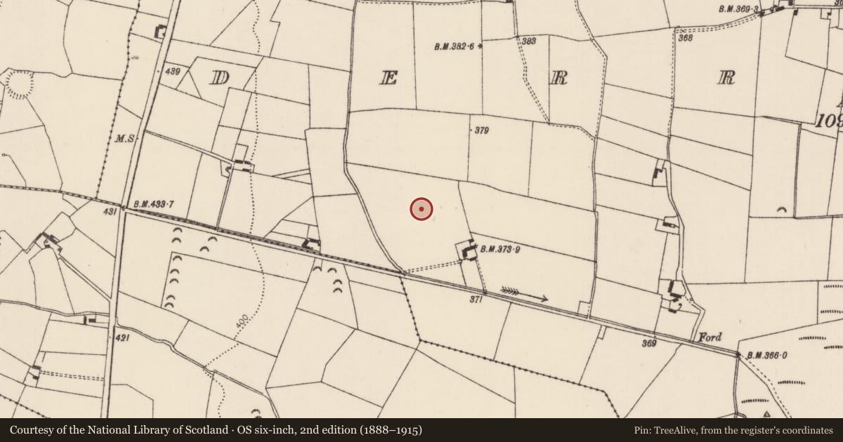 Ordnance Survey six-inch map, 2nd edition (1888–1915) covering the location of Enclosure, Derrymore (Corbally Par.), County Tipperary North, with a pin at the register's coordinates