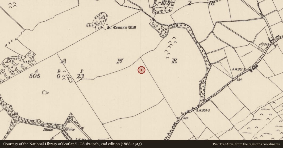 Ordnance Survey six-inch map, 2nd edition (1888–1915) covering the location of Ringfort - unclassified, Inane, County Tipperary North, with a pin at the register's coordinates