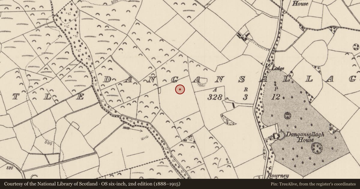 Ordnance Survey six-inch map, 2nd edition (1888–1915) covering the location of Moated site, Dangansallagh, County Tipperary North, with a pin at the register's coordinates