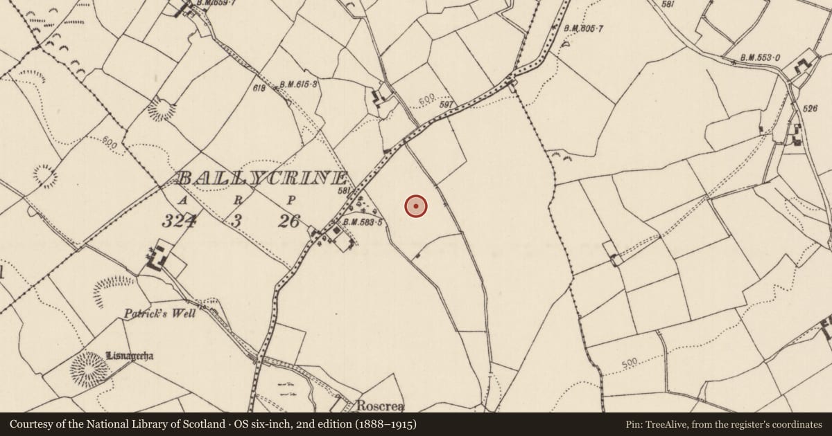 Ordnance Survey six-inch map, 2nd edition (1888–1915) covering the location of Enclosure, Glenbeha, County Tipperary North, with a pin at the register's coordinates