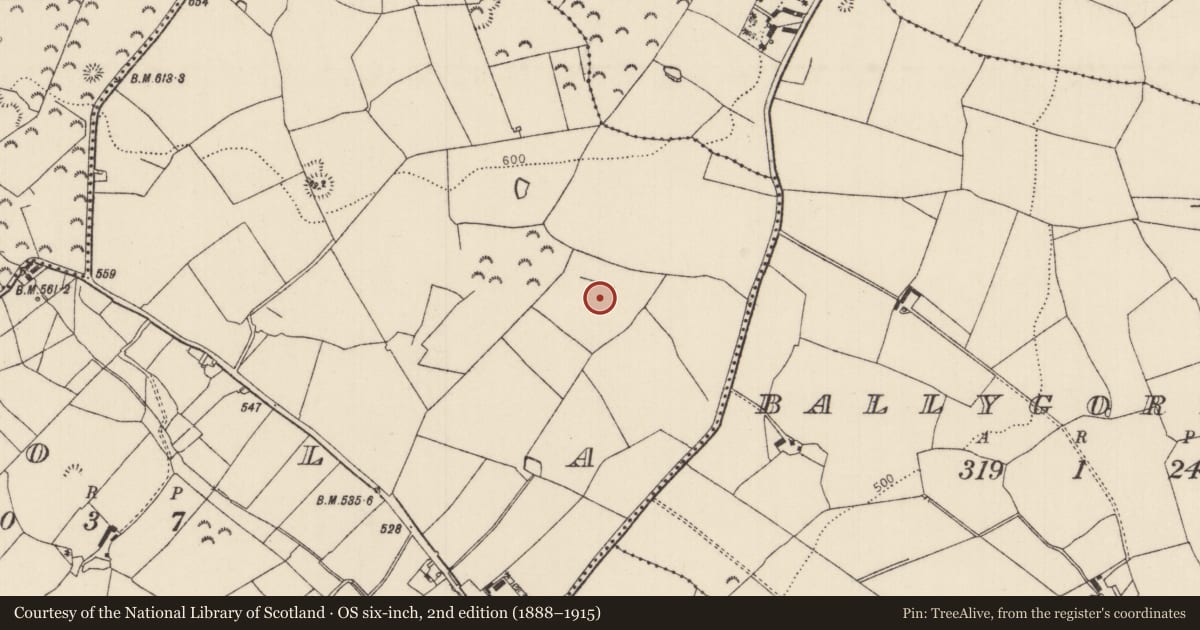 Ordnance Survey six-inch map, 2nd edition (1888–1915) covering the location of Ringfort - cashel, Boola (Corbally Par.), County Tipperary North, with a pin at the register's coordinates