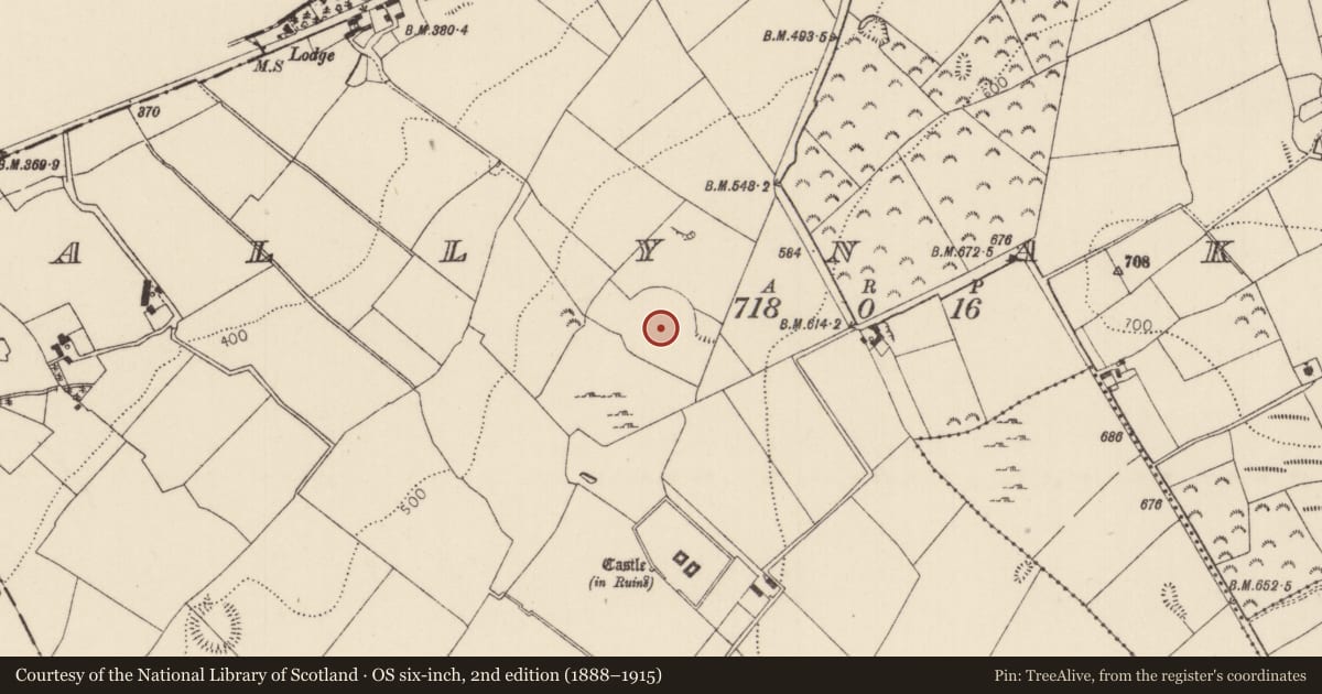 Ordnance Survey six-inch map, 2nd edition (1888–1915) covering the location of Enclosure - large enclosure, Ballynakill, County Tipperary North, with a pin at the register's coordinates