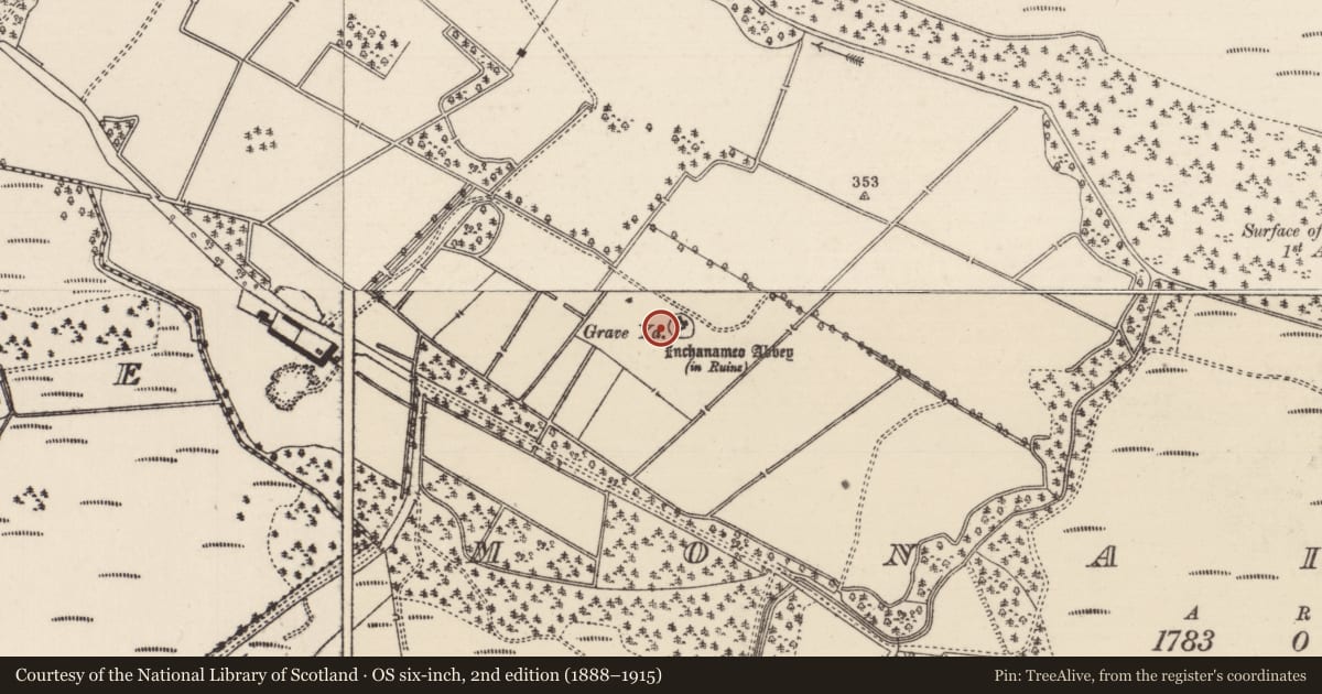 Ordnance Survey six-inch map, 2nd edition (1888–1915) covering the location of Cross - High cross, Monaincha, County Tipperary North, with a pin at the register's coordinates